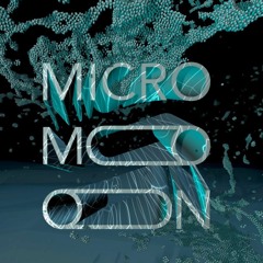 MicroMoon