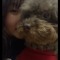 Janet