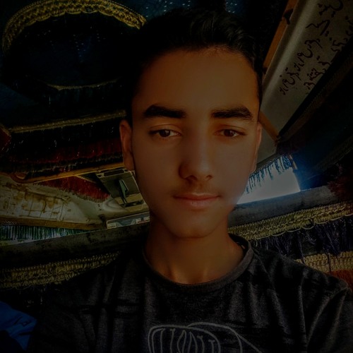 Muhammad Daniyal’s avatar