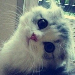 letmecry4u