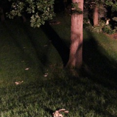 RKKJ (Wreckage) MUSIC