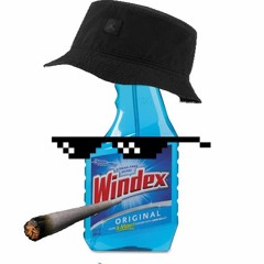 Lil Windex