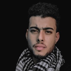 Mohamed Zidan