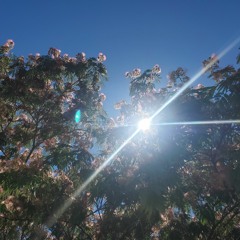 rays__up
