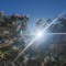 rays__up