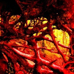 The Lost Thorns project