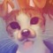 User 9627942