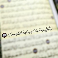 Rasha Abdelmohsen