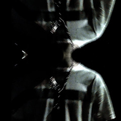 Seven Dream