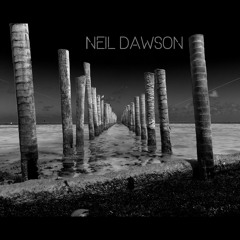 Neil W Dawson