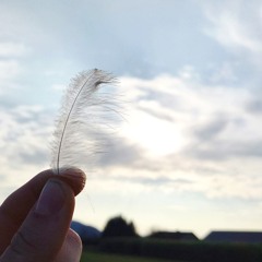 pathoflight