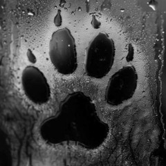 🐾