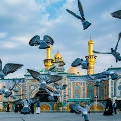 مشتاقة للحسين 💗