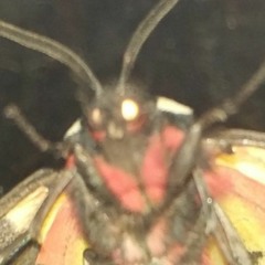 Сергей Мошкин