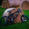 Alexanderthe Downhill_rider14