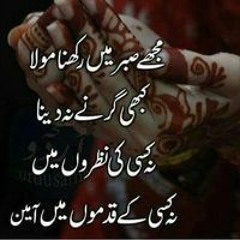 Mustafa Shakeel
