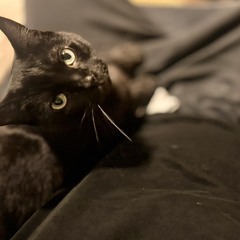 Nikita (420 CLUB MEMBER)