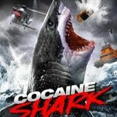 sharky665