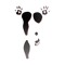 blkspl