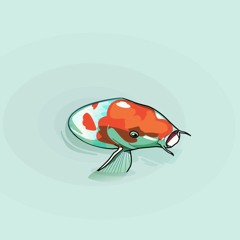 Gabriel Koi