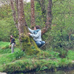 Myrtil Dautrebranche