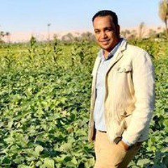 محمود فوزى ابو غلاب