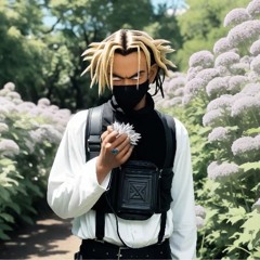 Lil v1b3