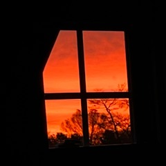 War of the Lightning Bugs