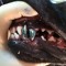 trupup