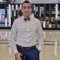 Mohamed Almoghazi