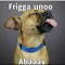 shona