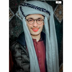 Mir__Haneef
