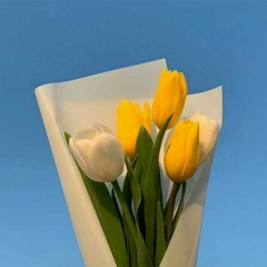 서윤