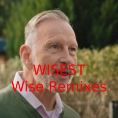 Wise Remixes
