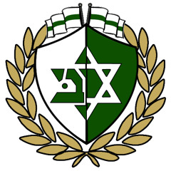 raz aharoni
