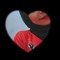 Nour Ahmed