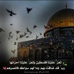 Doaa Gadalla