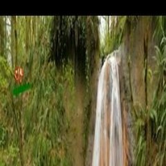 زغلول الماچك