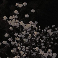 أُرْجُوَانْ🦋