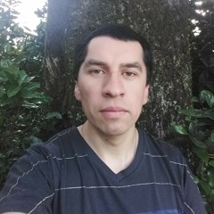 Don misterio33