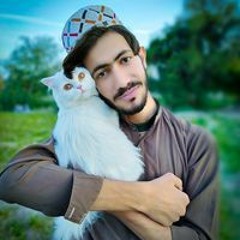 Zakria Saeed
