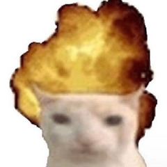 XNYTZN
