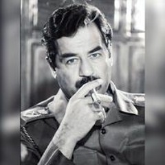 Aly Elmashad