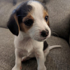 It’s Cora and Liz! Girls