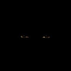 NEW FLAME MUSIC [N.F.M]