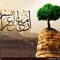 محمد نجيب