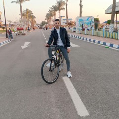 Mostafa Ahmd