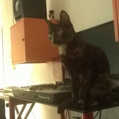 DJ PUMI