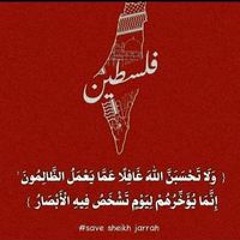 Asmaa Elsayed