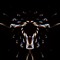Synthra